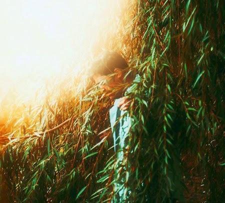 La fotografía de Ricardo Bouyett La fotografía de Ricardo Bouyett