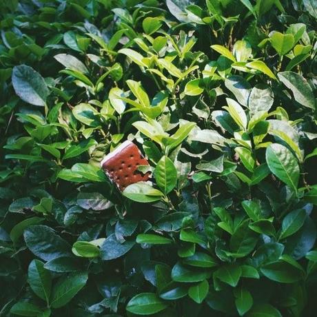 El helado puede transformarse en todo lo que imagines