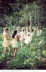 En el bosque… 7fc3de1ae23cd0aa734ffa2c4fd6c603