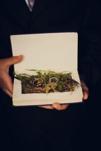 En el bosque… 33dcb79b04cfa3923d576f67d200668b