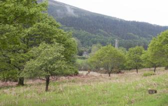 Round Tower Glendalough, el valle de los dos lagos
