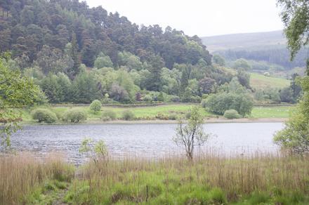 Un lago de niebla Glendalough, el valle de los dos lagos