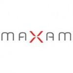 Fallas Pepe Benavent: Con ganas de expansión Grupo empresarial español más internacional…y el menos conocido