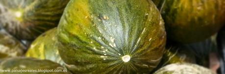 En búsqueda del mejor Melón: Villaconejos (Madrid)