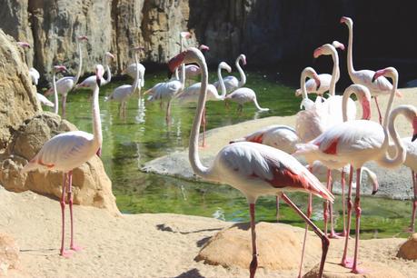 Un look cómodo y fresco para visitar el Bioparc