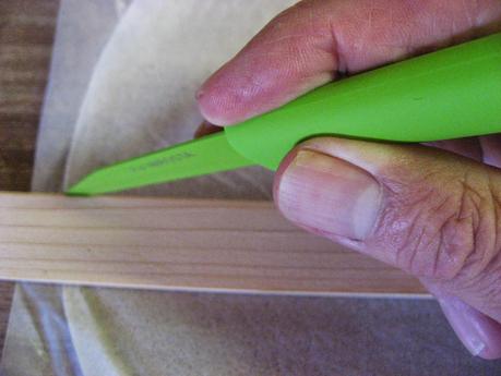 POLLO CON CEBOLLA CARAMELIZADA Y TOMATES VERDES FRITOS