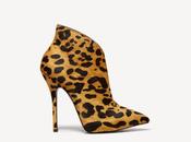 Zapatos Steve Madden