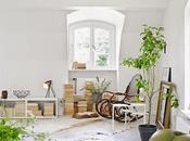 Verde sobre blanco. Decorar plantas