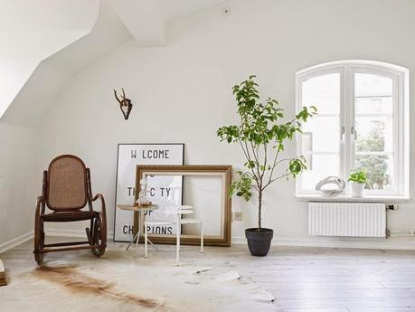Verde sobre blanco. Decorar con plantas