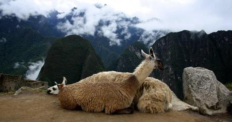 Machu Picchu. Foto: Sara Gordón