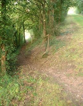 por que andamos cuando nos cuesta pensar