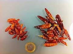 El ardiente récord de una guindilla destripadora