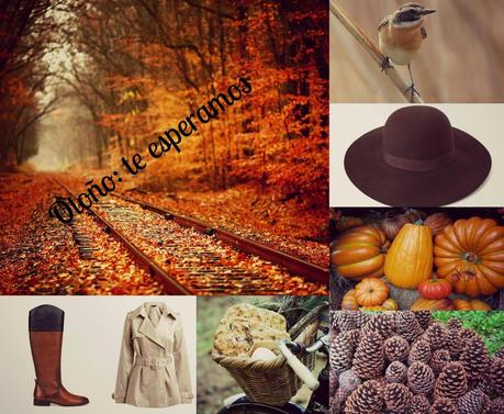 Otoño: te daremos la bienvenida