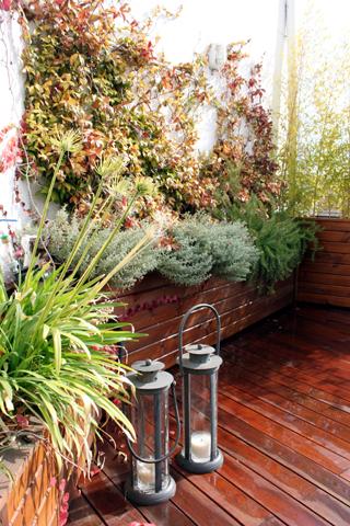 decora terraza 11 5 ideas para decorar tu terraza con estilo y sin mucho presupuesto