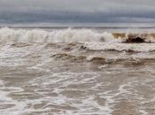 Fotos porque. encrespado