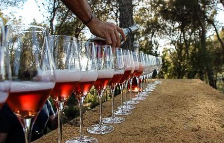 copas cava castellroig vistas montserrat