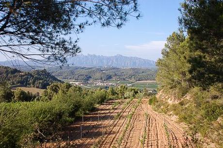 montserrat desde castellroig