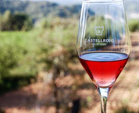 copa cava Castellroig_