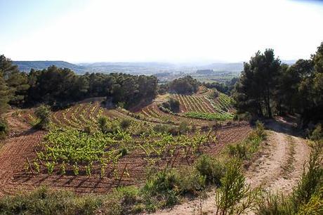 terrazas en castellroig