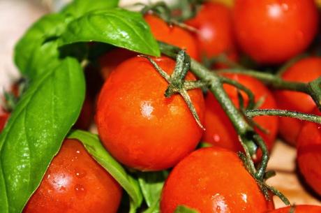 Como hacer una buena salsa de tomate o passata (paso a paso)