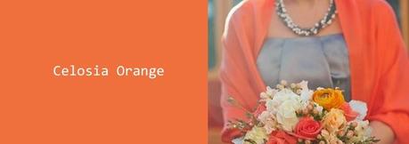 Colores para la primavera/verano 2014/15