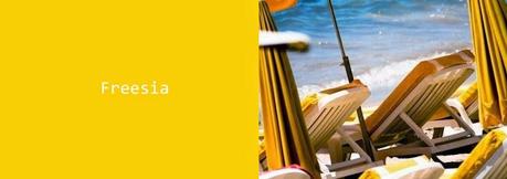 Colores para la primavera/verano 2014/15