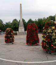FLORES EN LA PLAZA CESIS