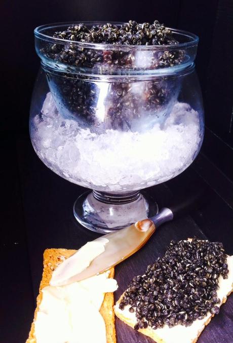 Falso caviar de quinoa o por que algunos políticos tal vez deberían masturbarse más