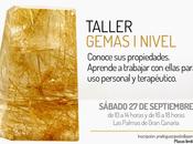 Taller Gemas, Nivel