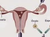 Cáncer mama tratamientos fertilidad