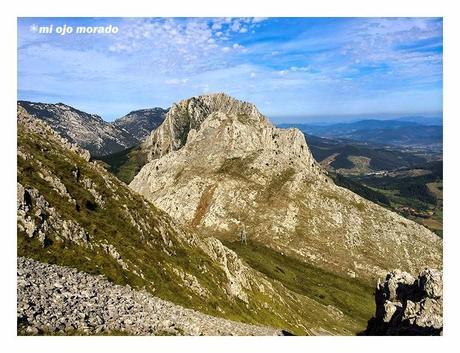 Sólo había un árbol en el Alluitz Sólo había un árbol en el Alluitz