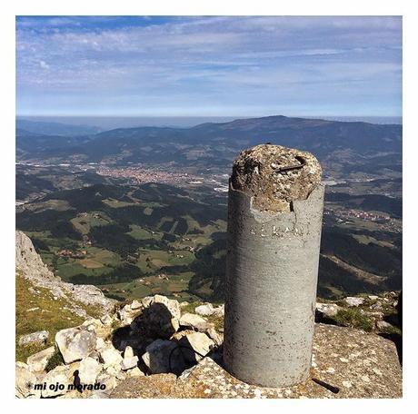Sólo había un árbol en el Alluitz Sólo había un árbol en el Alluitz