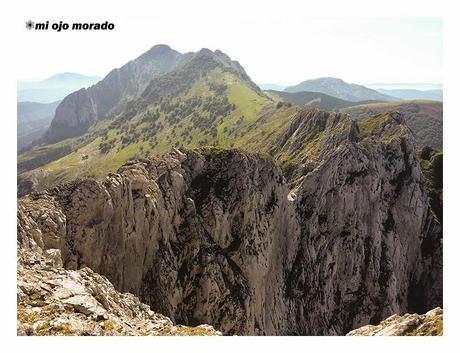 Sólo había un árbol en el Alluitz Sólo había un árbol en el Alluitz