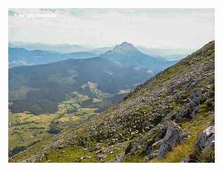 Sólo había un árbol en el Alluitz Sólo había un árbol en el Alluitz