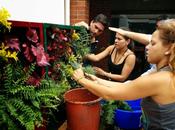 Éxito curso jardines verticales Colombia.