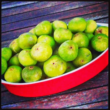 ES TIEMPO DE............................................ HIGOS.-