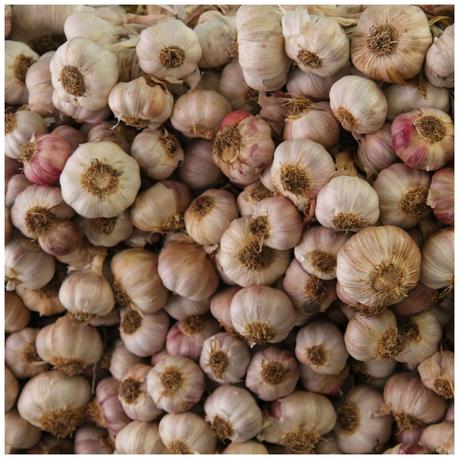 Porto... encanto portugués