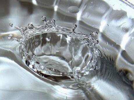 Jasón, Cadmo y la tierra mojada.