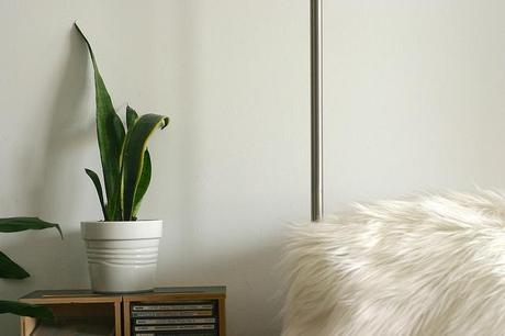 detalles__20140522 - Version 2+