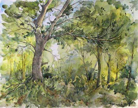 Pinceles Versátil de Escoda - Escoda Brushes - Acuarela