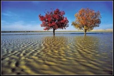 55 Years in time (Retrospective) Ibrahim Zaman