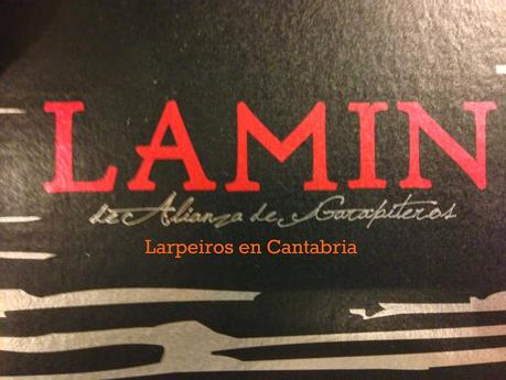 Vino Tinto Lamin 2009: Alianza de Garapiteros