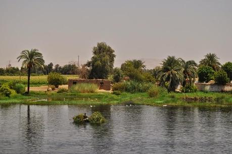 EGIPTO photo diary II