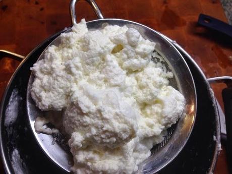 Queso fresco casero