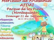Mercadillo artesanía, Afdai.