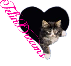 Poker Face by Adriana Law (Reseña)