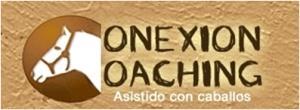 Coaching Asistido con Caballos. Todo lo que pueden hacer estos animales por ti. coachingCaballos1