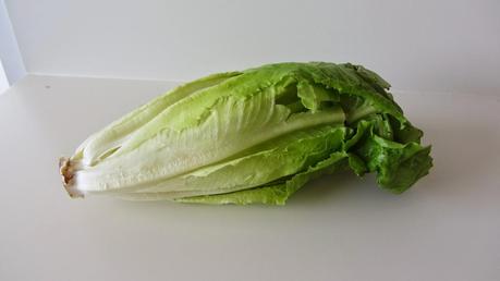 Propósitos de septiembre: FIBRA