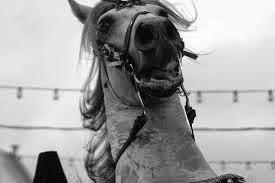 La Red Flag Act o cuando los coches llevaron una bandera roja delante