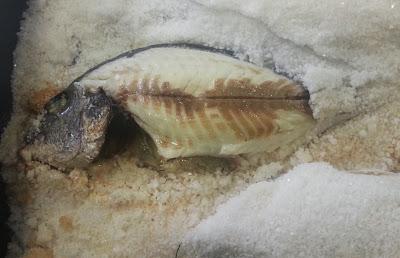DORADA DE ESTERO A LA SAL